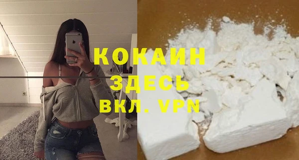 прущие грибы Магадан
