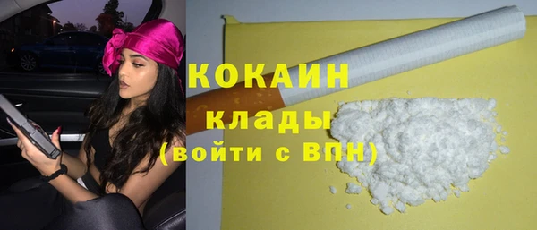 прущие грибы Липки