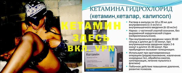 прущие грибы Магадан