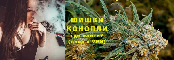 прущие грибы Магадан