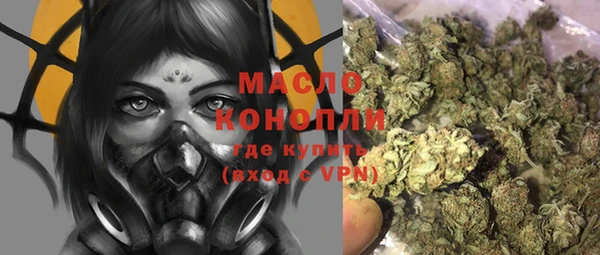 прущие грибы Магадан