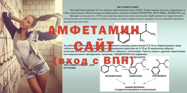 прущие грибы Магадан