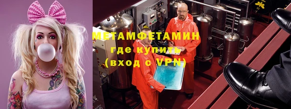 прущие грибы Магадан
