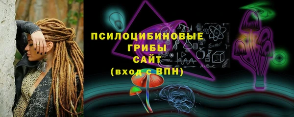 прущие грибы Магадан