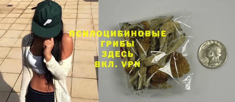 Галлюциногенные грибы Magic Shrooms  где найти   Гдов 