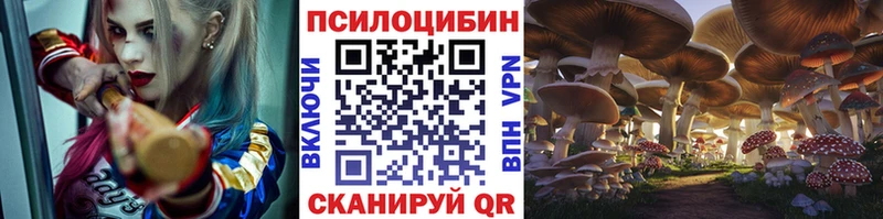 Галлюциногенные грибы Cubensis  где можно купить   Гдов 
