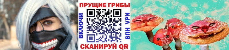 Псилоцибиновые грибы GOLDEN TEACHER Гдов