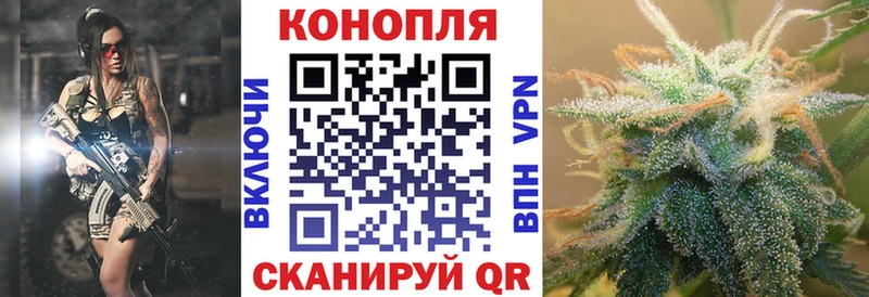 где купить наркоту  Гдов  Конопля семена 